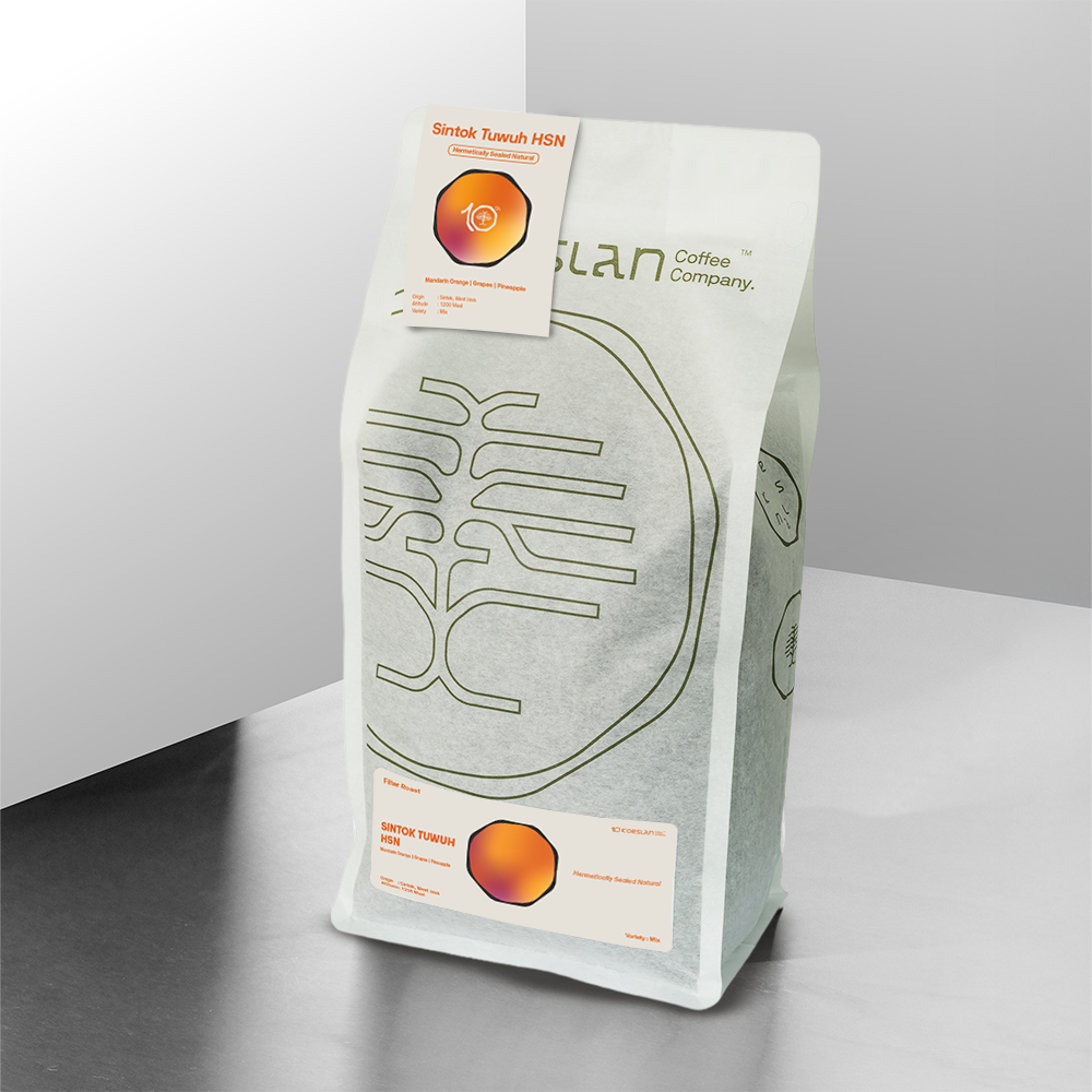 Sintok HSN 602